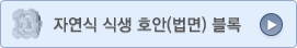 자연식 식생 호안(법면)블록